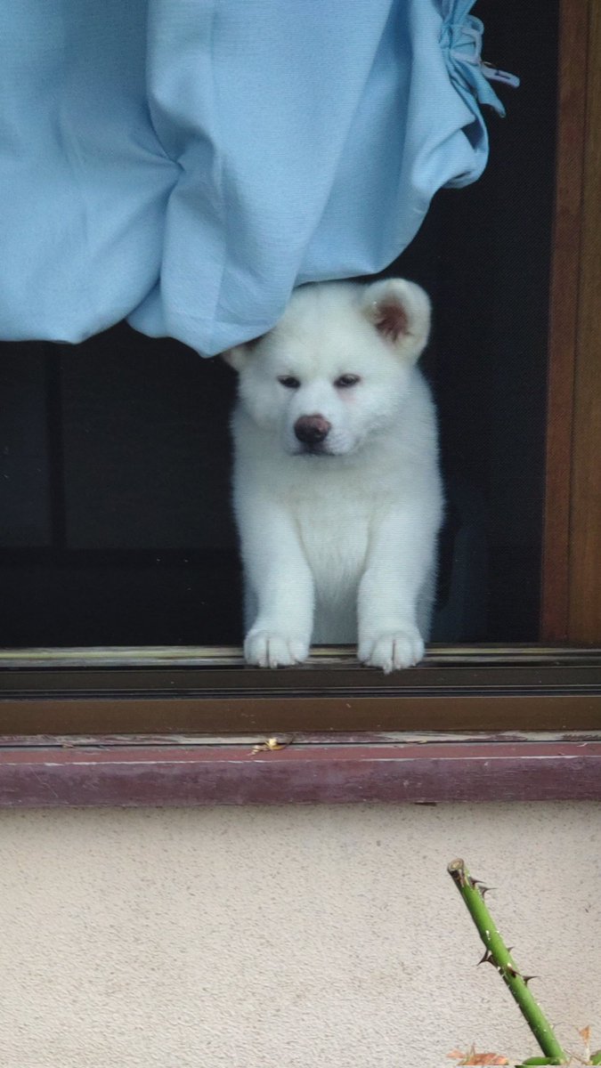 ْ (@65907_30_4) / Posts / X