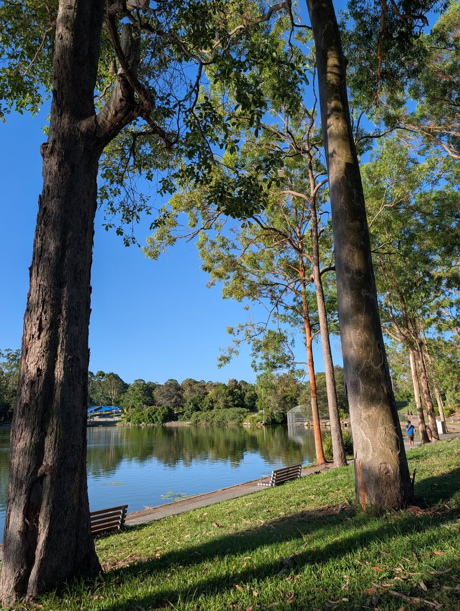出來散步，透透氣，靜靜地思考一下，陽光仍然很猛烈

不知為何要繼續出推
廣告？發夢是不是早了一點？
公司推廣？我不是搞生意
認識朋友？隨時可能變了園區工作者
發表政見？分分鐘變網紅，全世界都認識你的家人