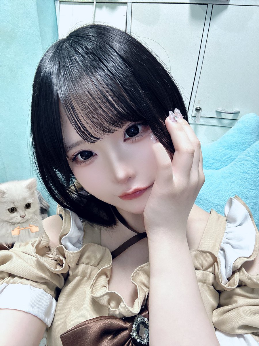 ぽめ (@pomeranian_oO) / Posts / X