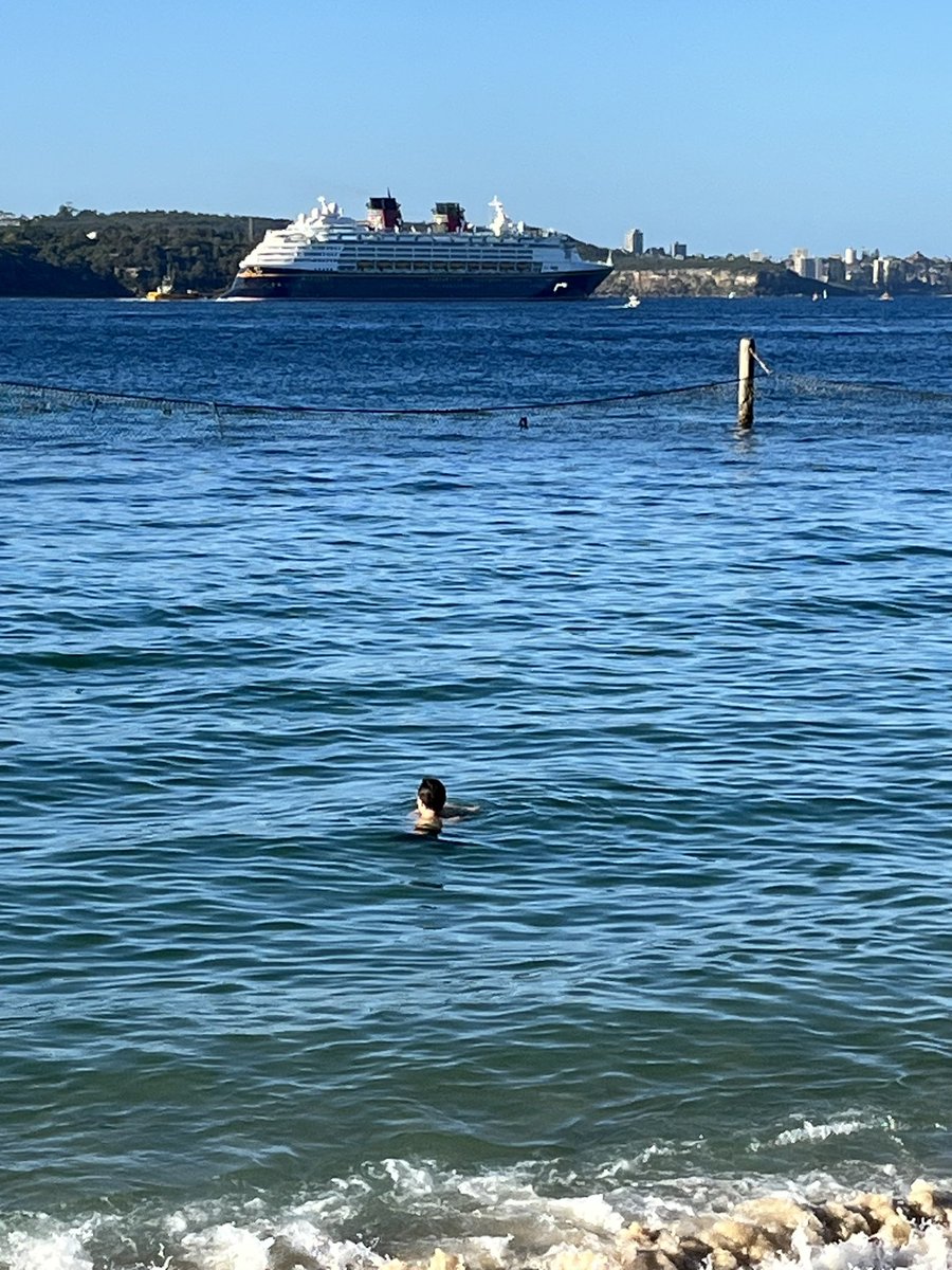 Philip Thalis tweet media