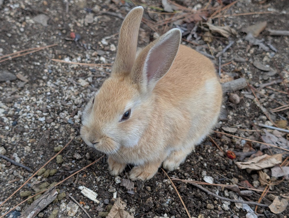 なんやかんやで予定つめつめになりながらも楽しい広島になりました
