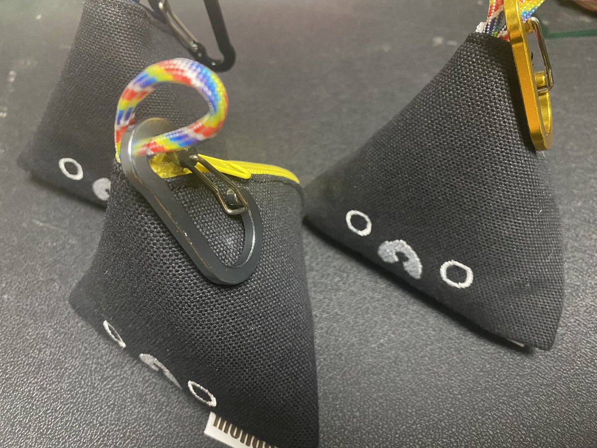 ダッフィー‎ᐡˊﻌˋᐡキャンプ@ゆきちゃんねる (@usa_vichi) / Posts / X