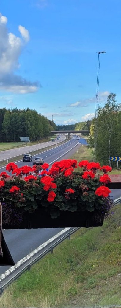 Dr. Vana_B tweet media