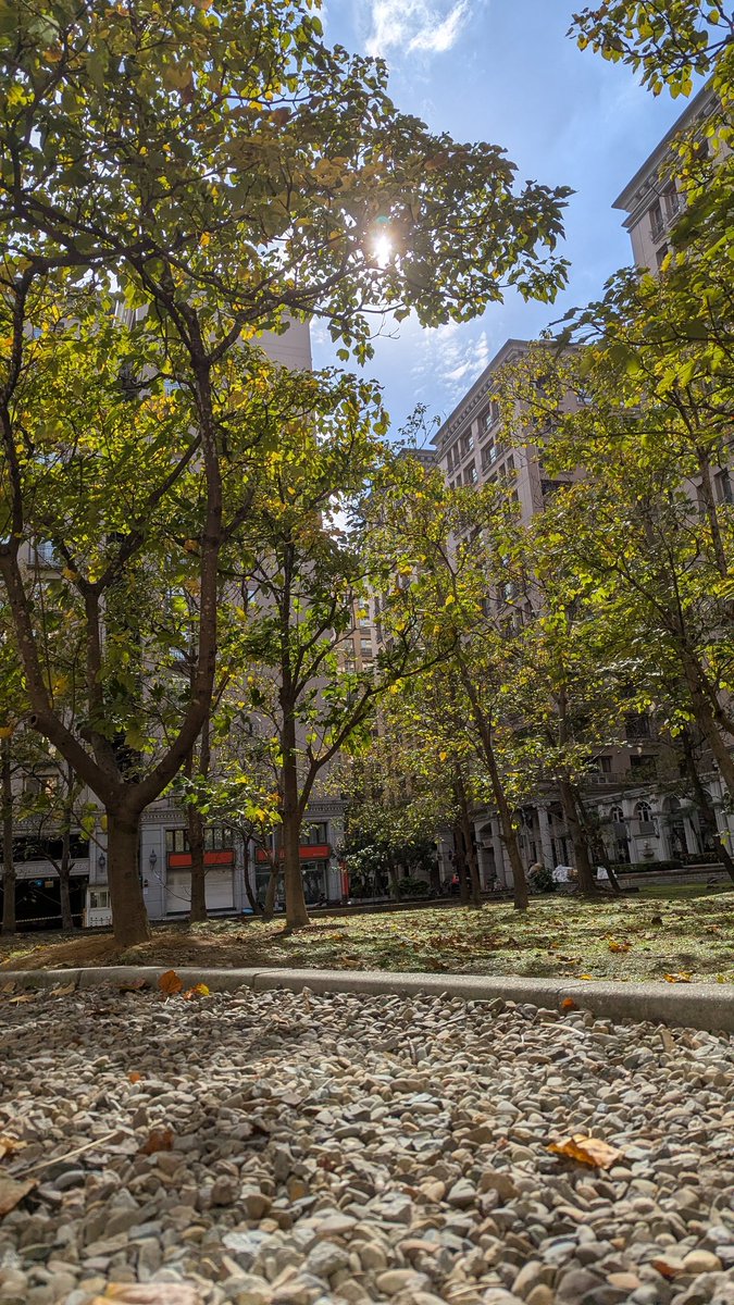 感覺很久沒有白天踏出家門曬曬太陽