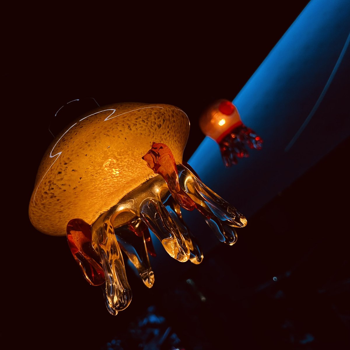 水族館行ったのに八割クラゲ