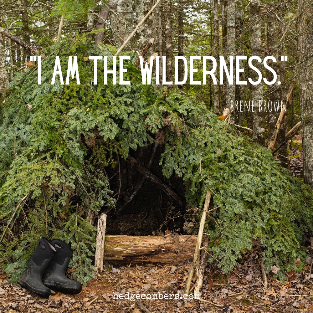 Jane 'Hedgecomber' Sarchet tweet media