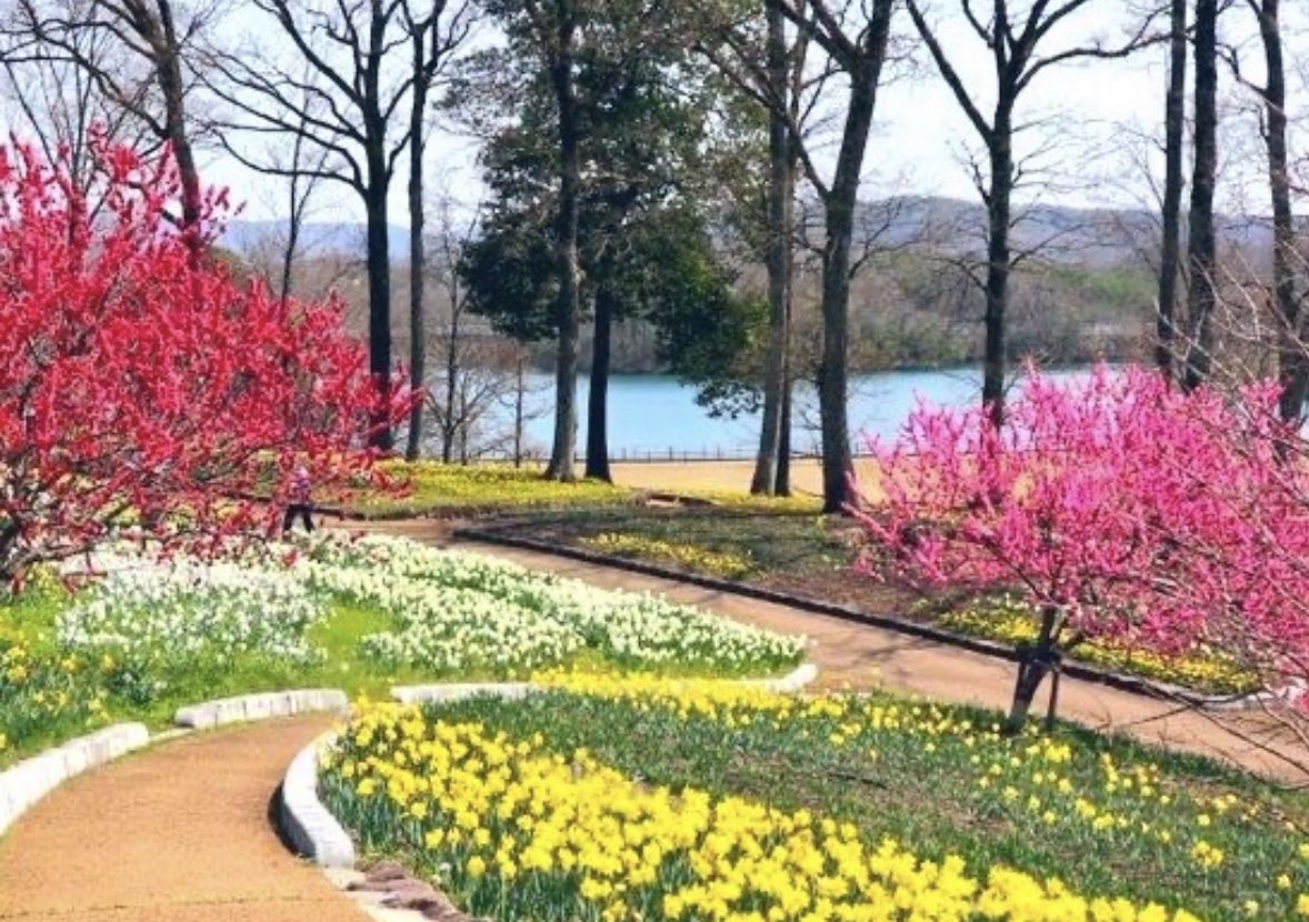 お久しぶりです　
　全くアップ出来ず失礼致しました　
　この度は兄叔父の喪中にあたり　年末　新年のご挨拶をご遠慮させて頂きます
　変わらずの毎日を送っていますよ　またゆっくりお話をさせて頂きますね
　毎日気にかけてくださりありがとうございます　見ています
　日々頑張っています　またね