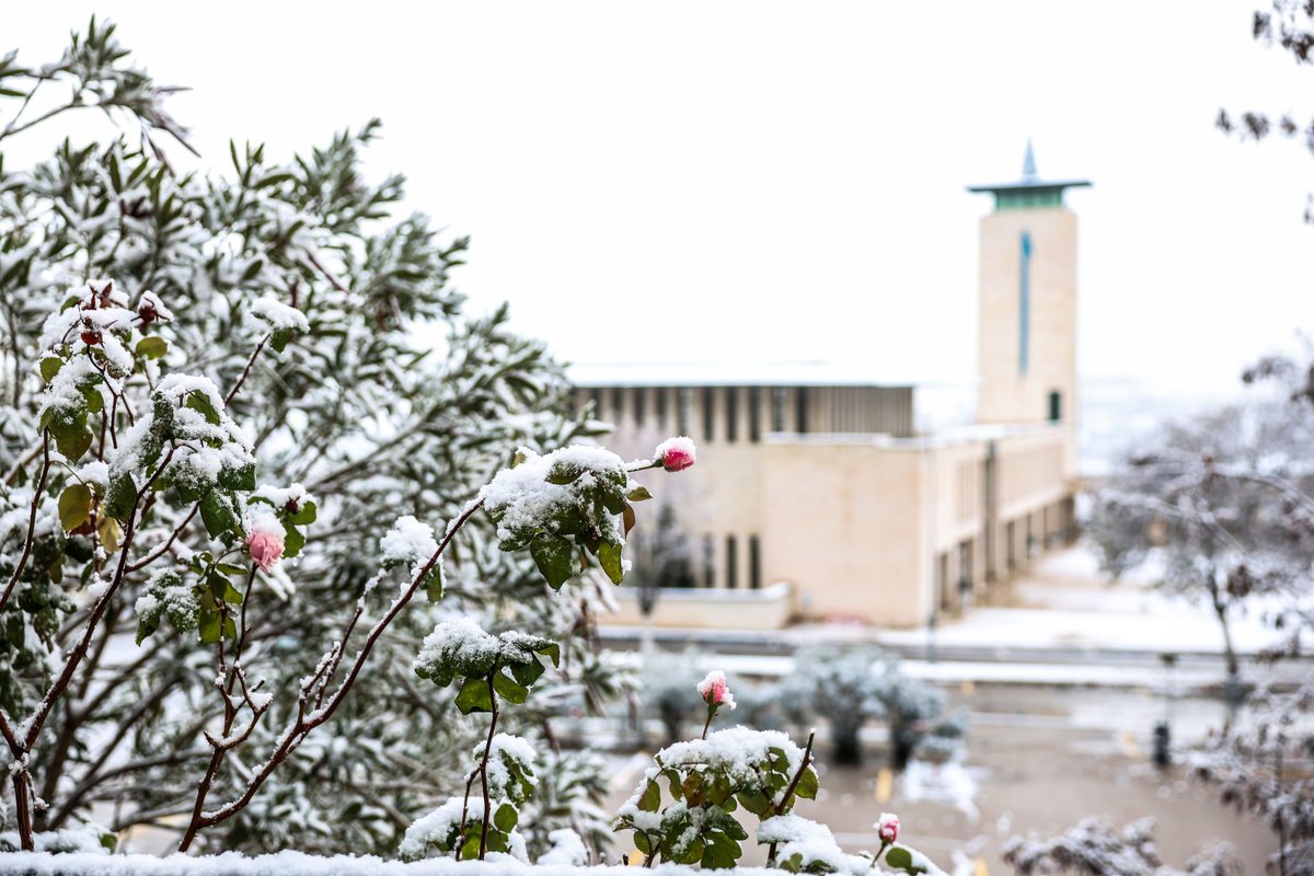 Hasan Kalyoncu Üniv tweet media