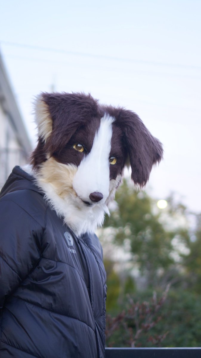 ❓   #FursuitEveryday