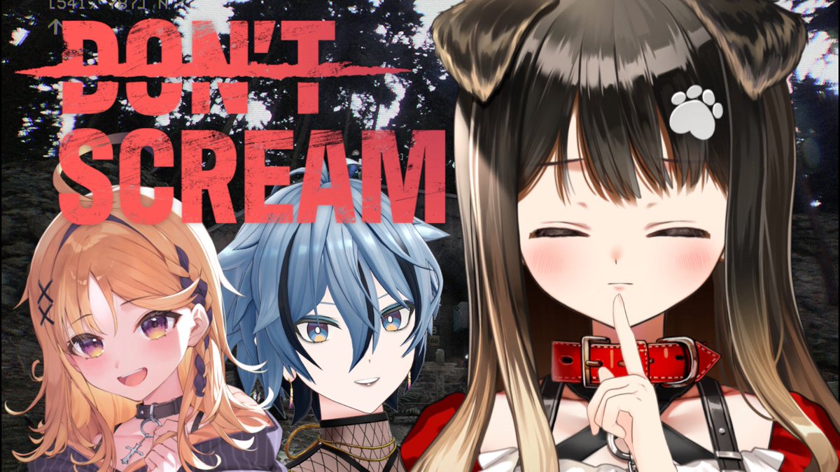 ⌒⌒⌒▷🐶◁*:⌒⌒⌒⌒⌒ ✂️配信告知 12/29（月）22:00〜🕙DON'T