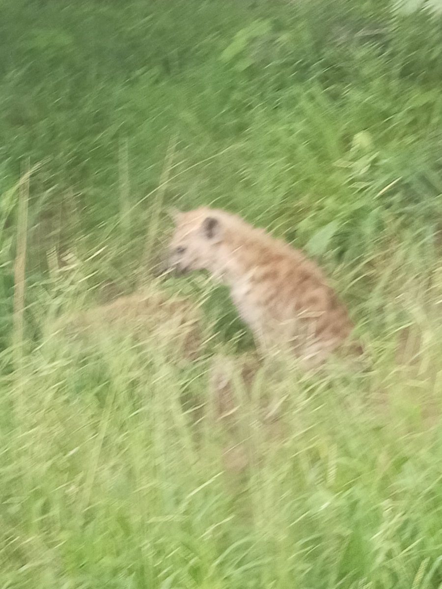 progresspillars's tweet image. 