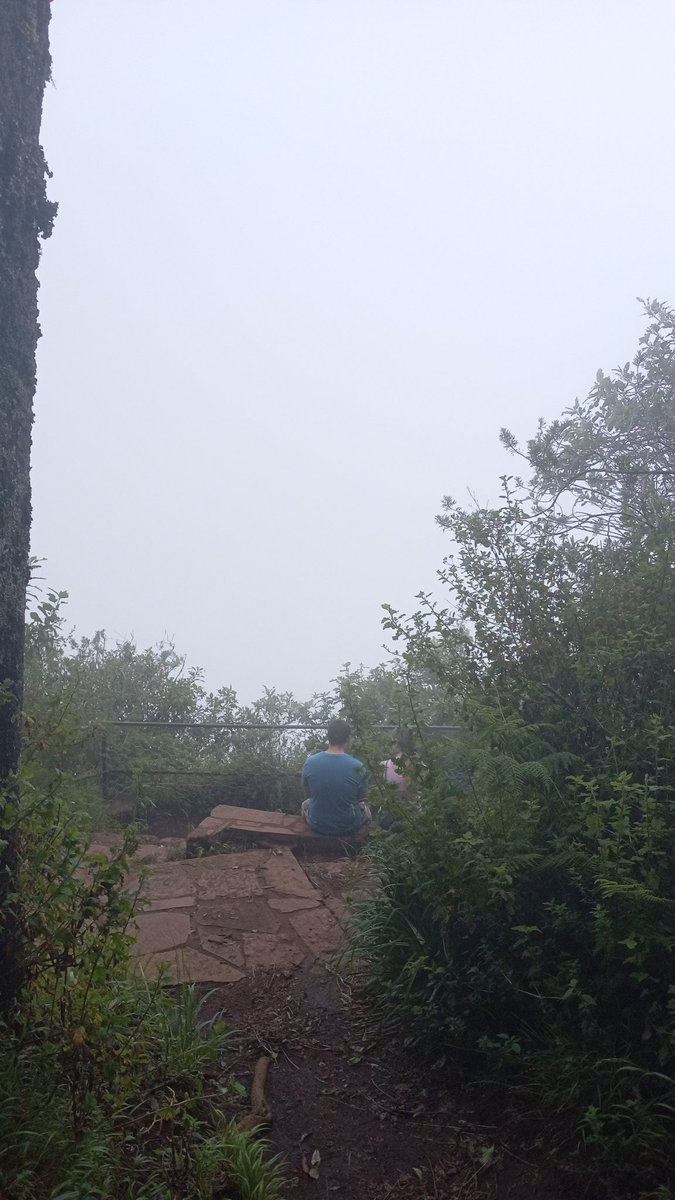 progresspillars's tweet image. 