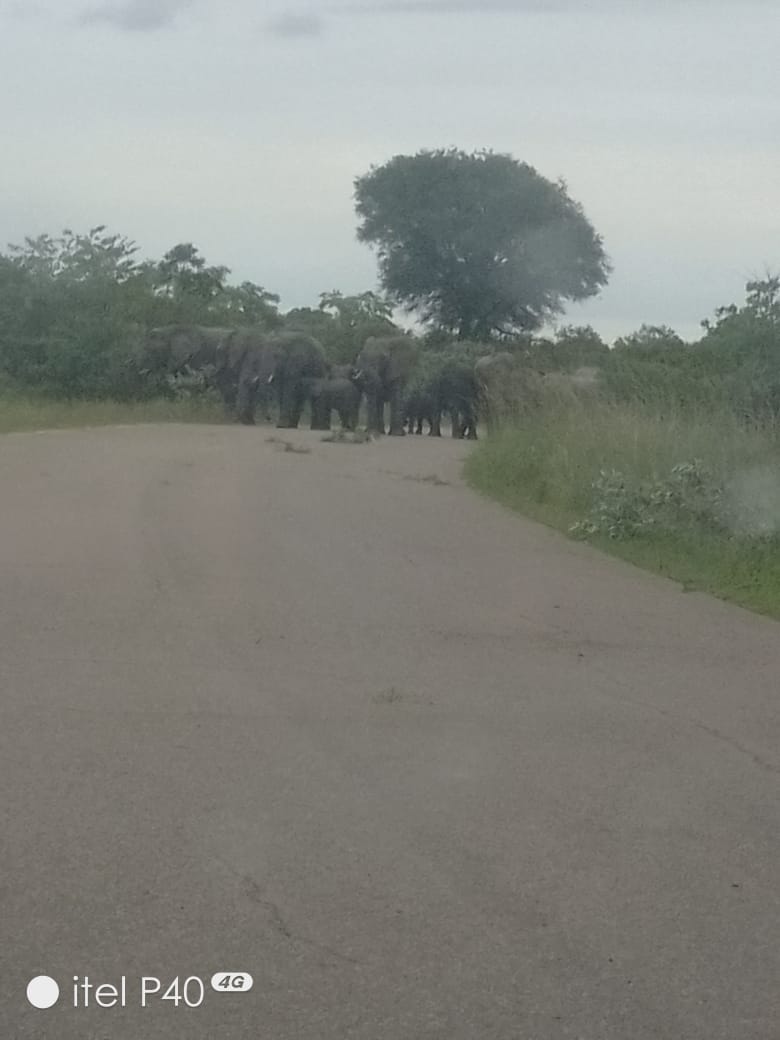 progresspillars's tweet image. 