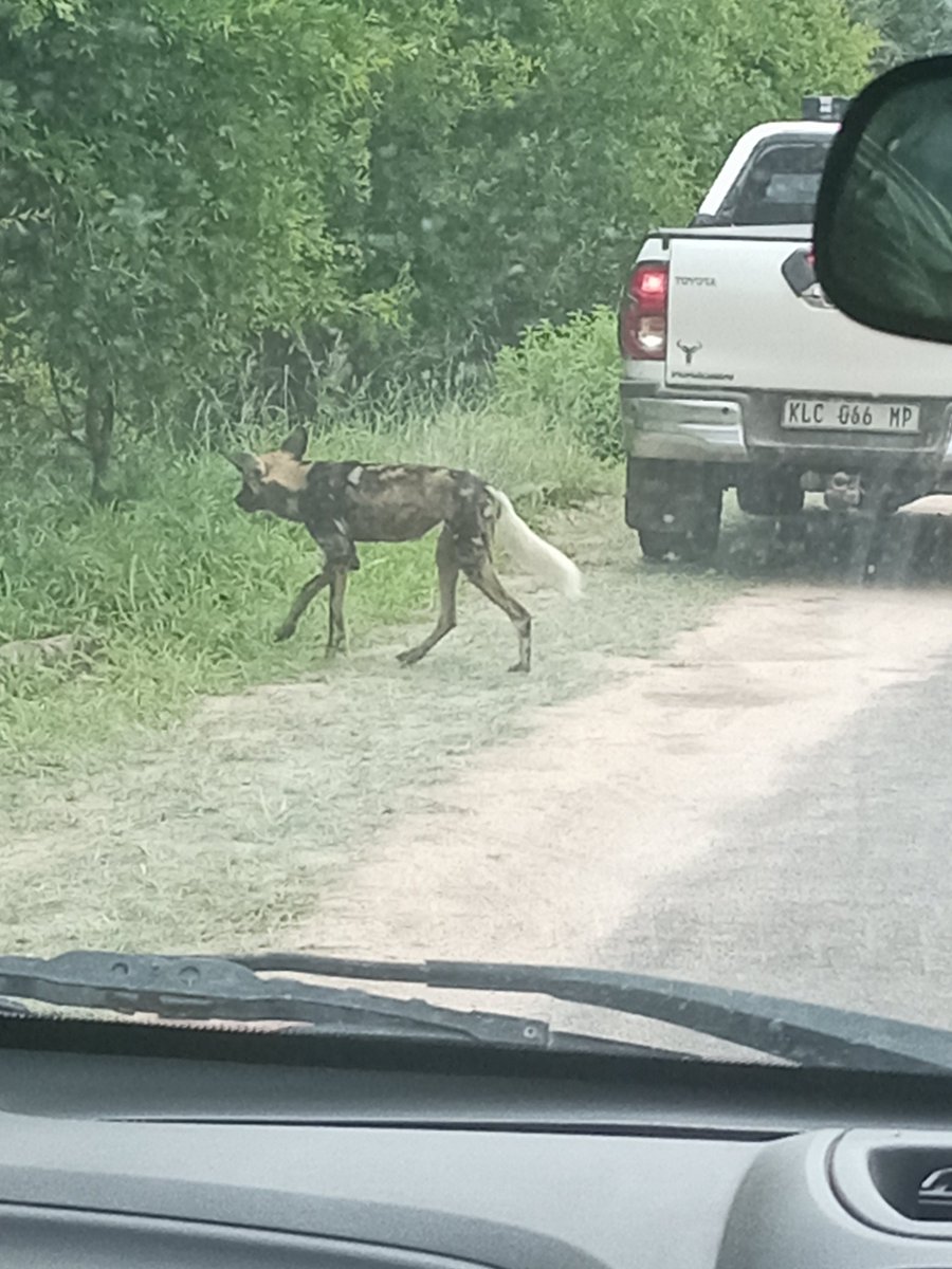 progresspillars's tweet image. 