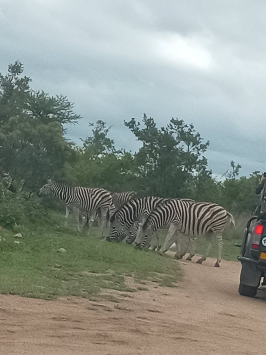 progresspillars's tweet image. 