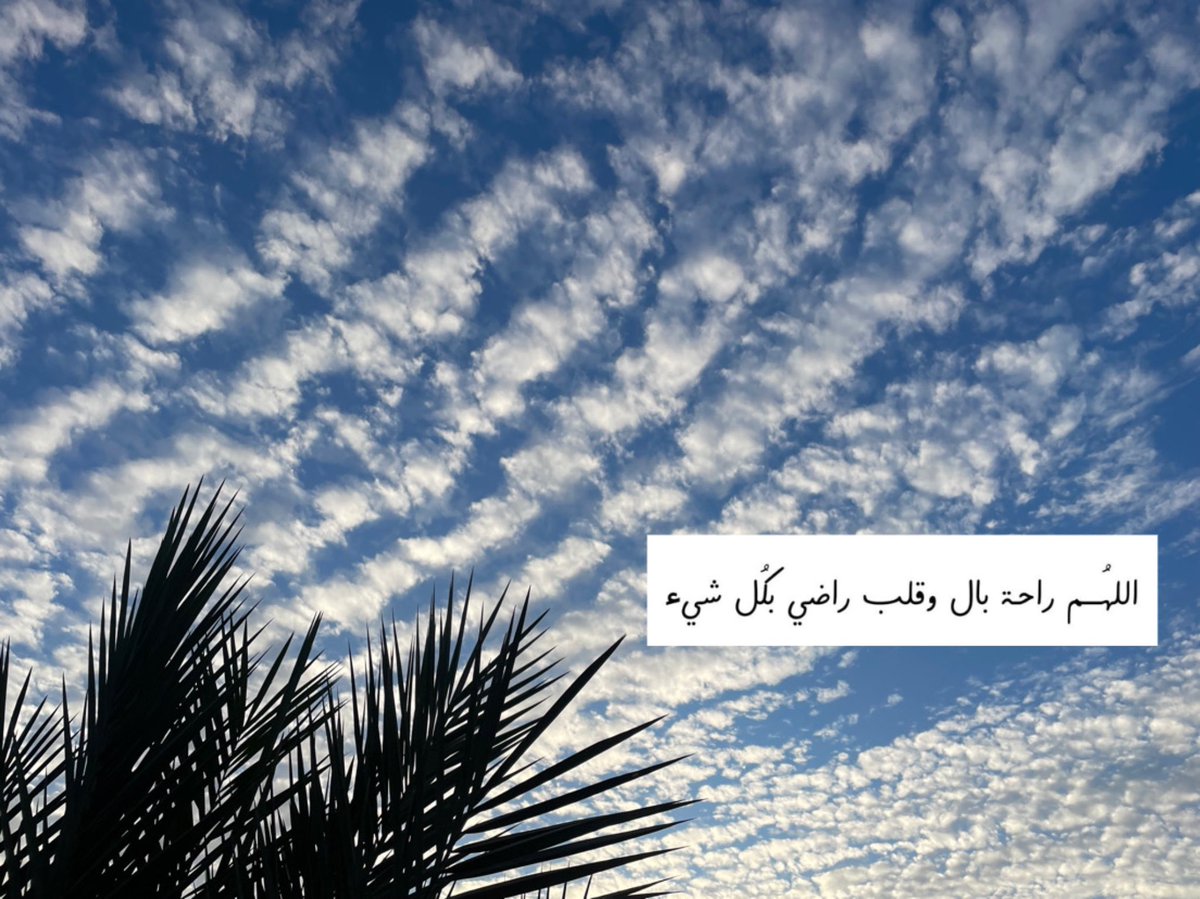 عشوائيات 📚☁️✨
#عشوائيات