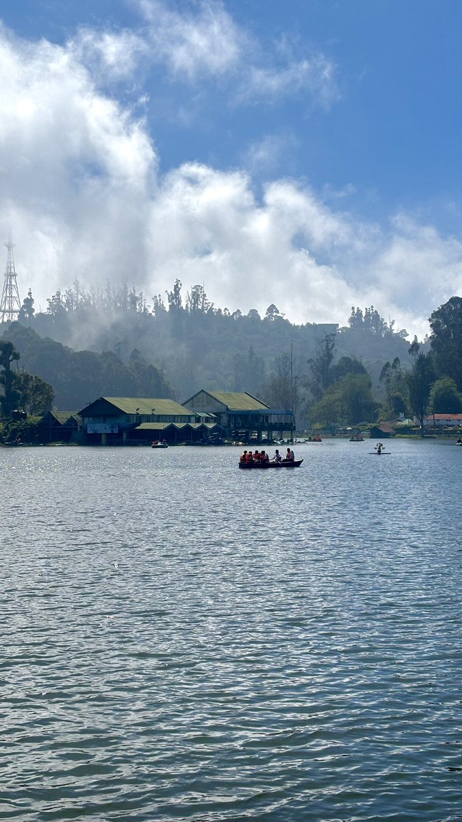 nature and btc greening together💜