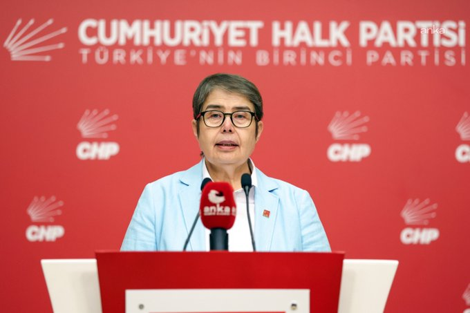 CHP'li Zeliha Aksaz Şahbaz:

"Ülke selefi teröristlerin kamp alanına dönüştü, iktidar anayasal protesto hakkını kullanan muhalif gençlerin peşinde."