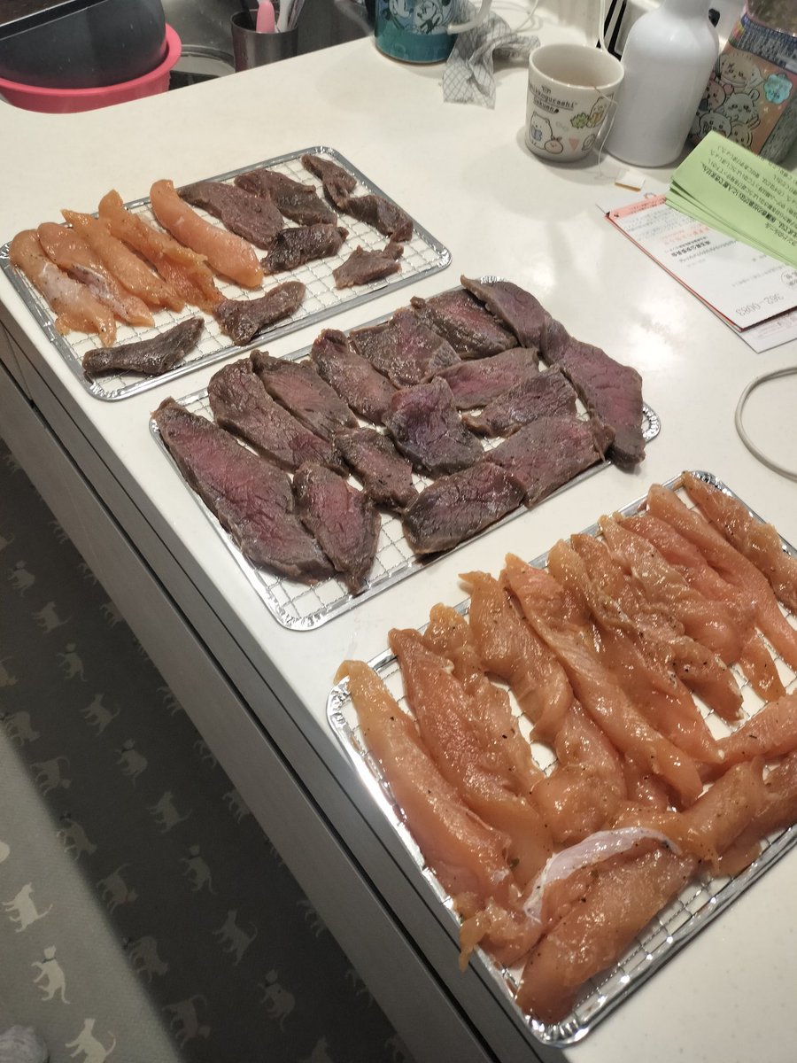 しょーたいむ(BUN廻し隊) tweet media