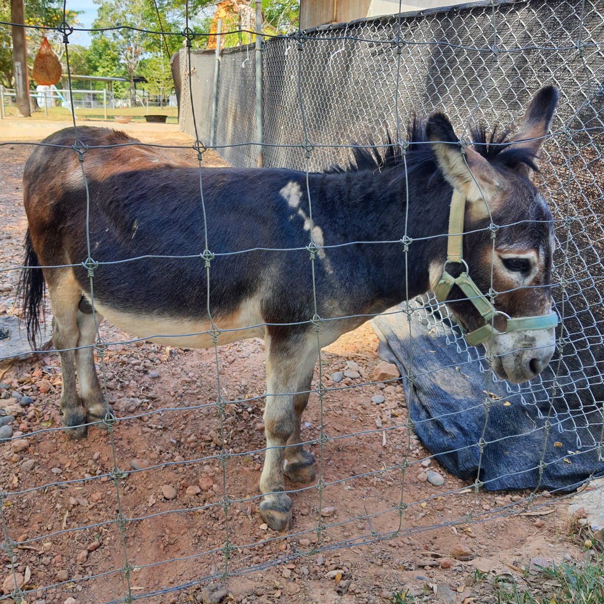 I went to another farm