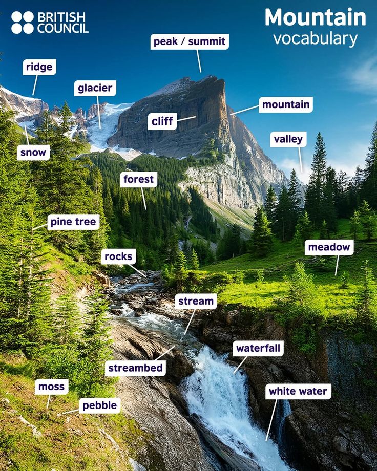 Learn spoken English (@_learnenglis) on Twitter photo 