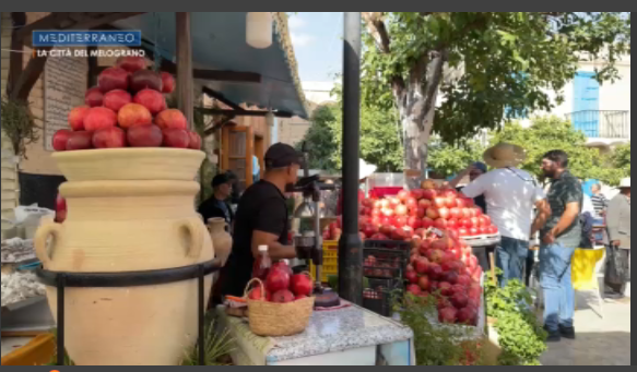 #Mediterraneo2025

LA CITTA' DEL MELOGRANO <a href="/luciabasso2/">Lucia Basso</a> 

Tappa a #Testour, in #Tunisia: le tracce del legame con l' #Andalusia, la festa del #melograno, il minareto con l'orologio che gira al contrario

tinyurl.com/mwkzamdx

<a href="/TgrRai/">Tgr Rai</a> <a href="/RaiNews/">RaiNews</a>