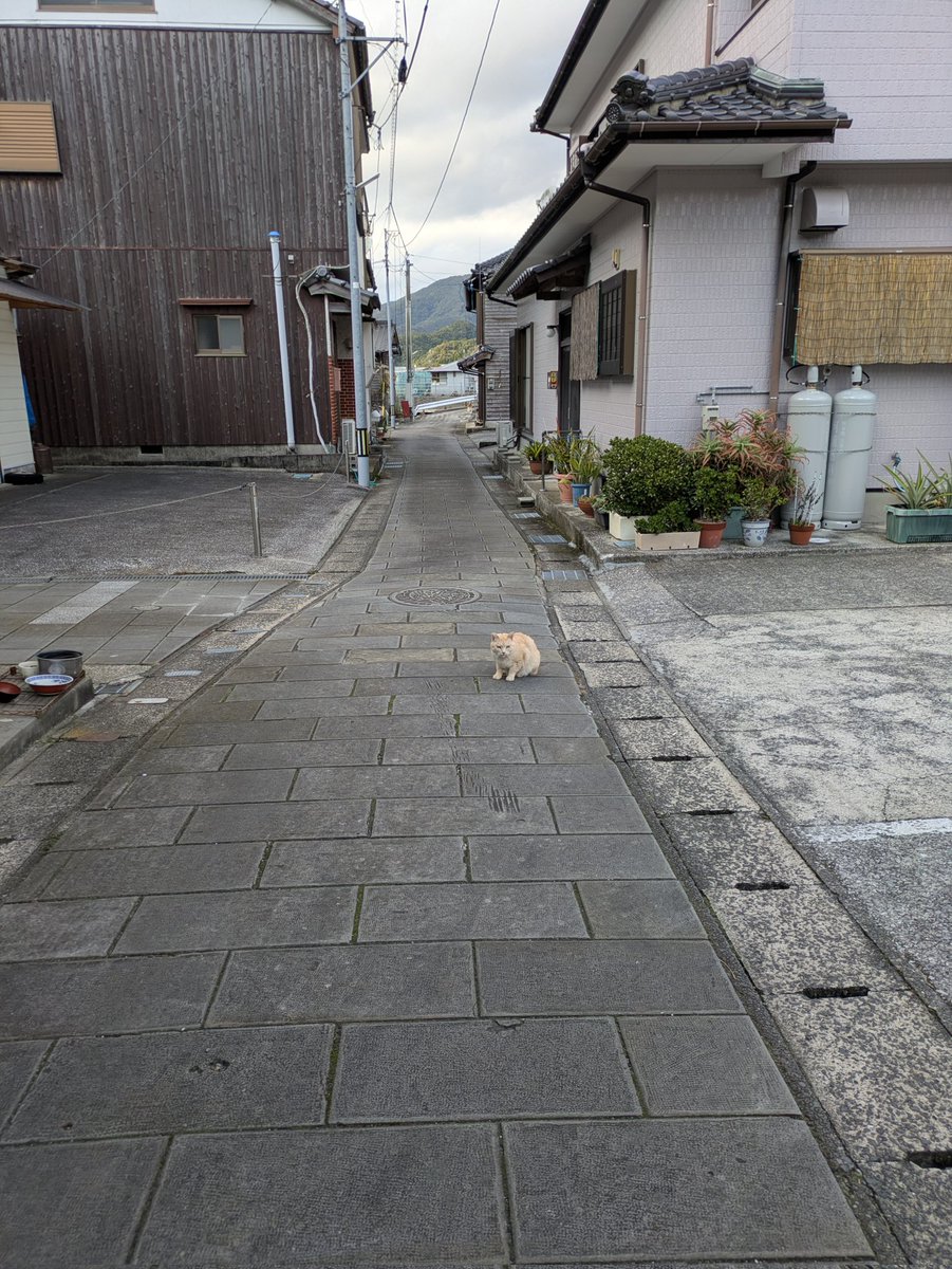 ue_todo's tweet photo. 穏やかな町並みがとても良い( ˘ω˘) https://t.co/5lp5FaR0pi
