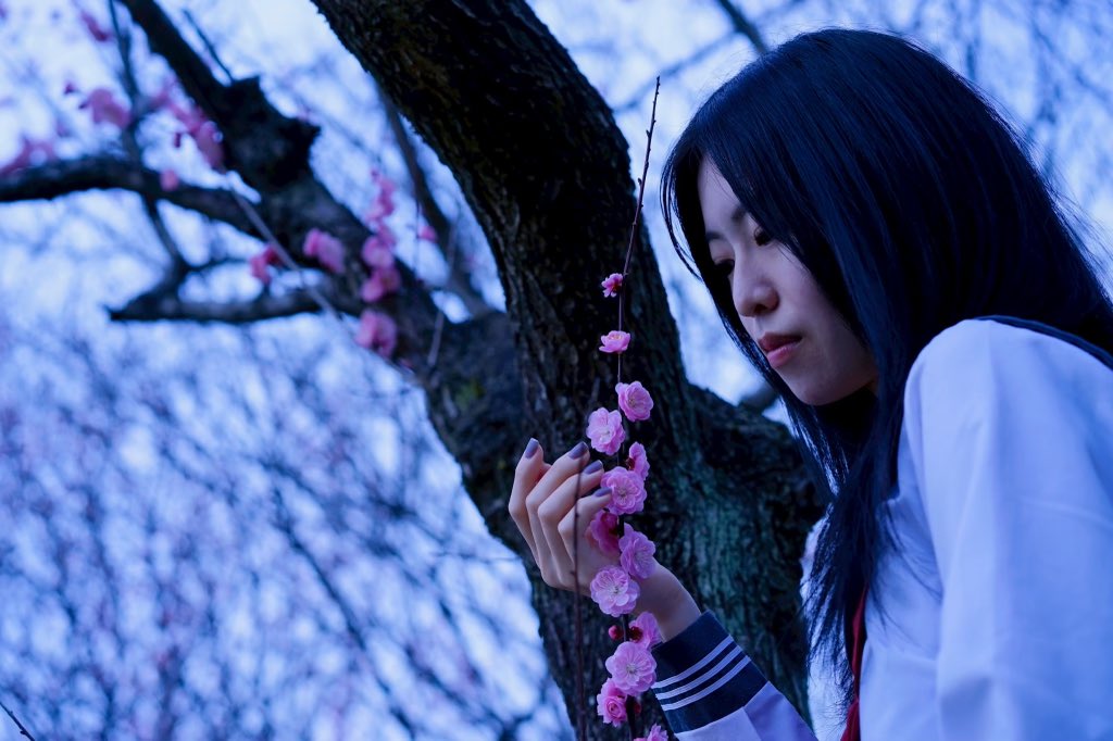 ama_che_rose's tweet image. 📸2025 撮影❷:@71Side