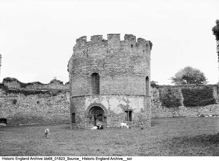 HE Archive tweet media