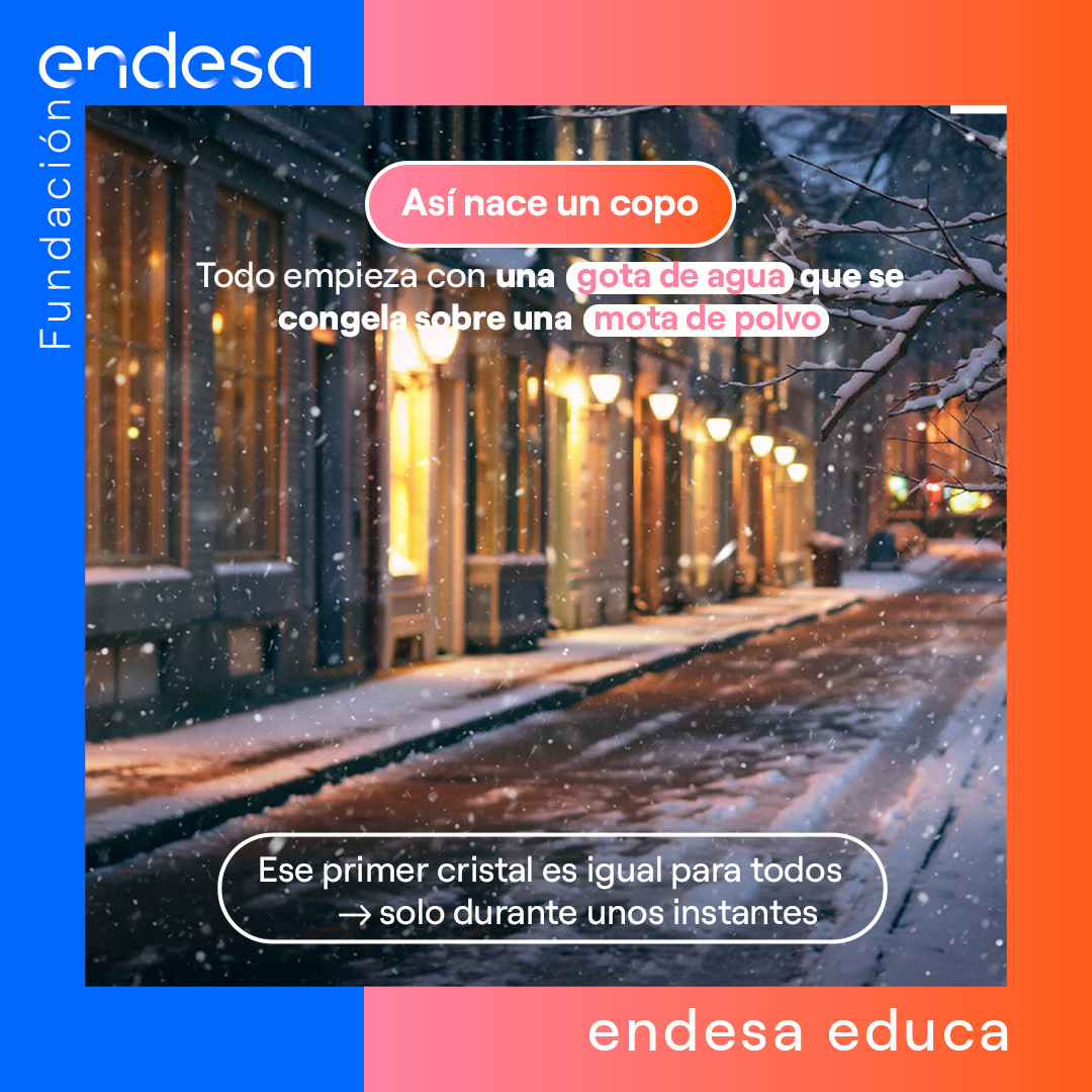 Endesa Educa tweet media