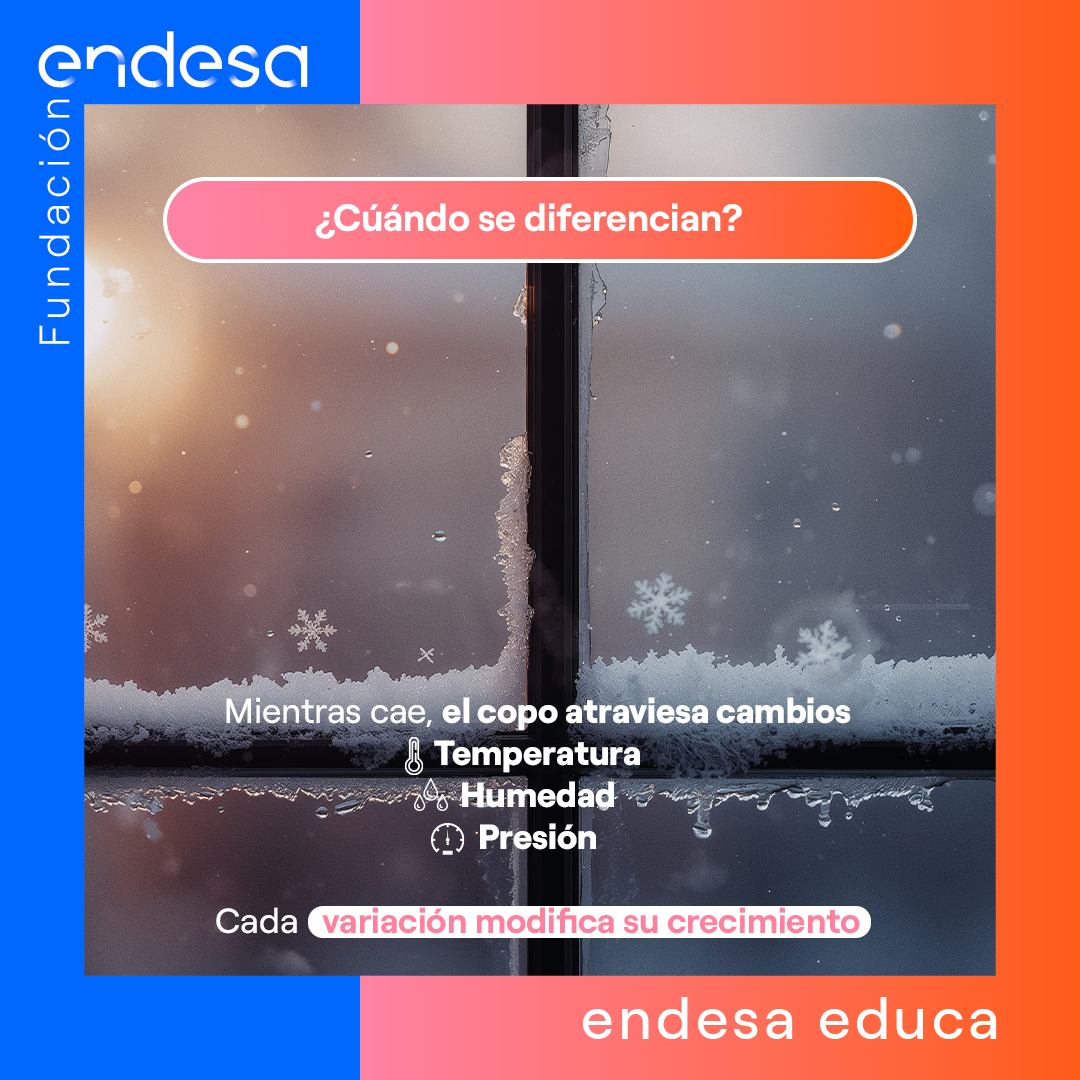 Endesa Educa tweet media