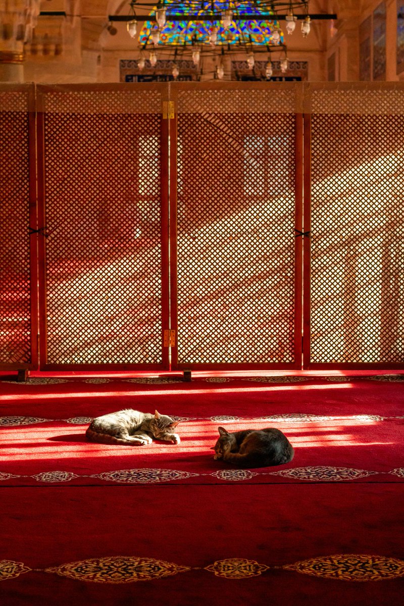 "Mâlâyânîyi (faydasız söz ve lüzumsuz işleri) terk etmesi, kişinin müslümanlığının güzelliğindendir."

(Tirmizî, "Zühd", 11)