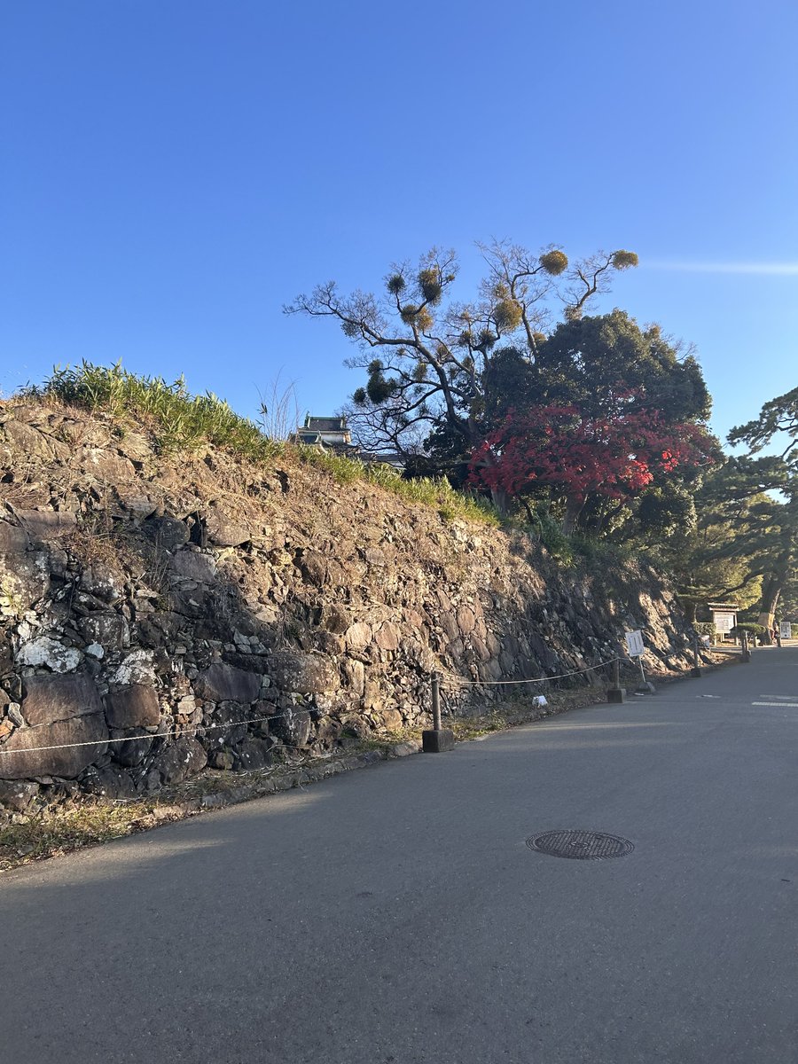 futurefitting's tweet image. 夕方に和歌山着きました！
58時間、100kmぐらいでした