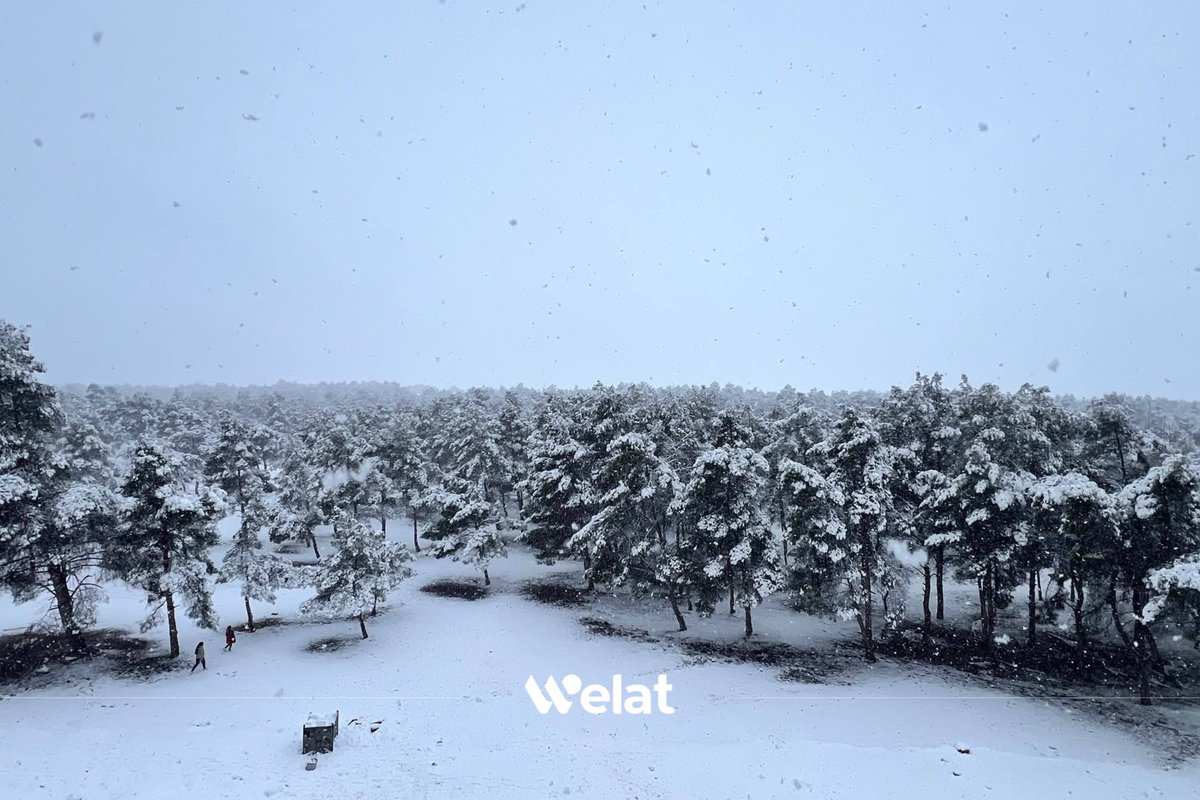 WelattvKu's tweet image. 📸 Li Kobanî berfeke zêde bariye 
#Berf
#Kobanî
#Kurdistan 
#WelatTV