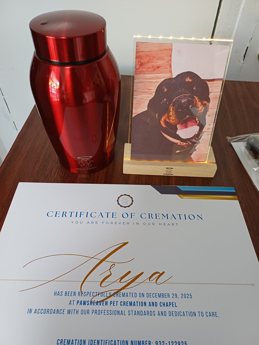 TheBlinkingOne tweet media