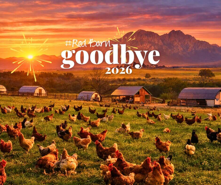 Red Barn News &amp; Special Offers - Goodbye to 2026 ☀️☀️ - mailchi.mp/redbarn.co.za/…