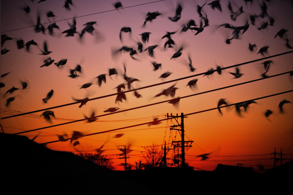 今日も一日 おつかれさま…