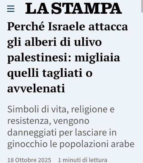 ComitatoCentra1's tweet image. Aspettatevi da un momento all'altro che vi dicano che consumare e produrre olio extravergine di oliva sarà finanziamento di Hamas