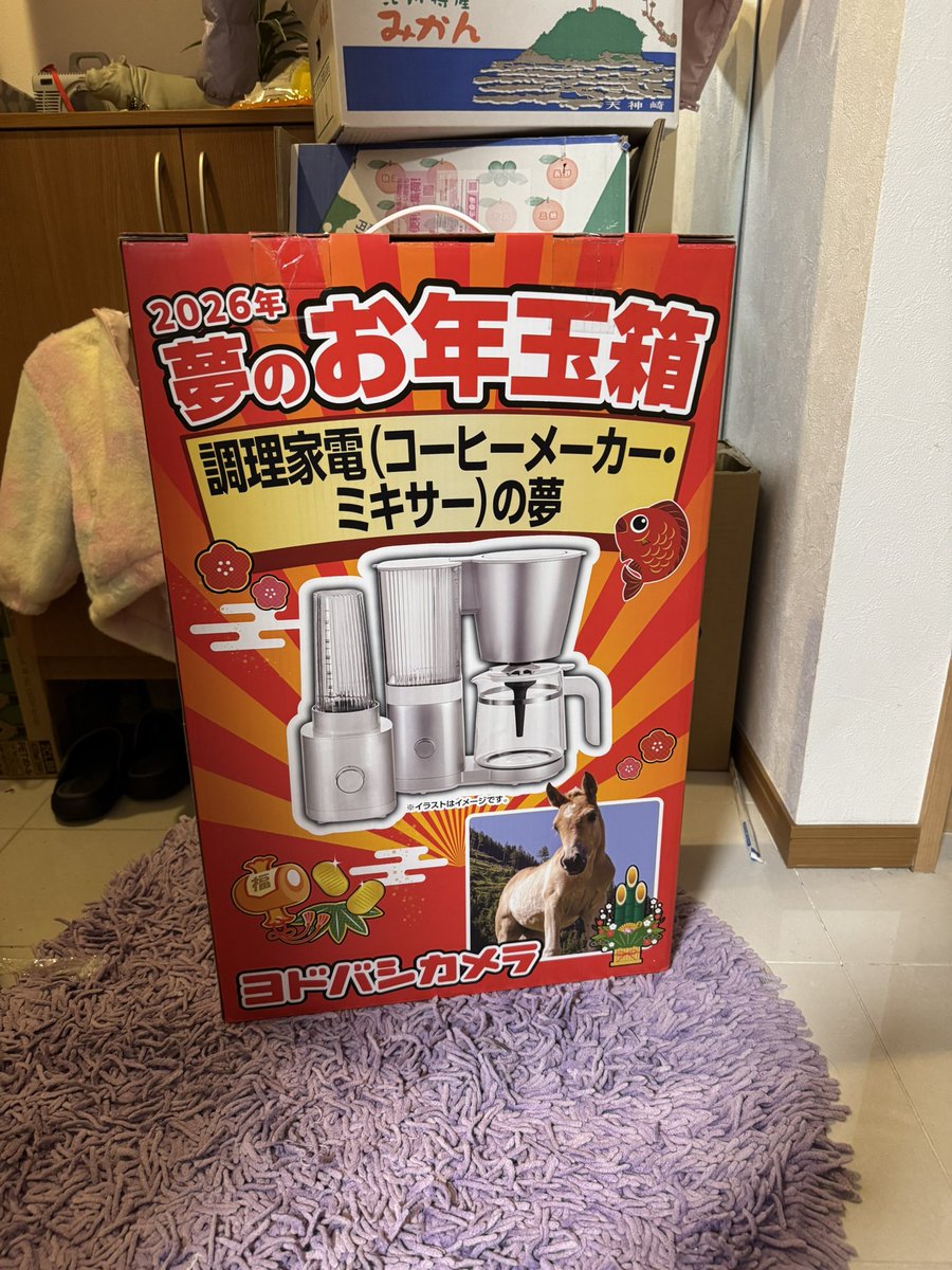 ヨドバシカメラ 夢のお年玉箱2026 調理家電（コーヒーメーカー
