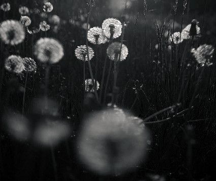 Semo (@designsemo) on Twitter photo 