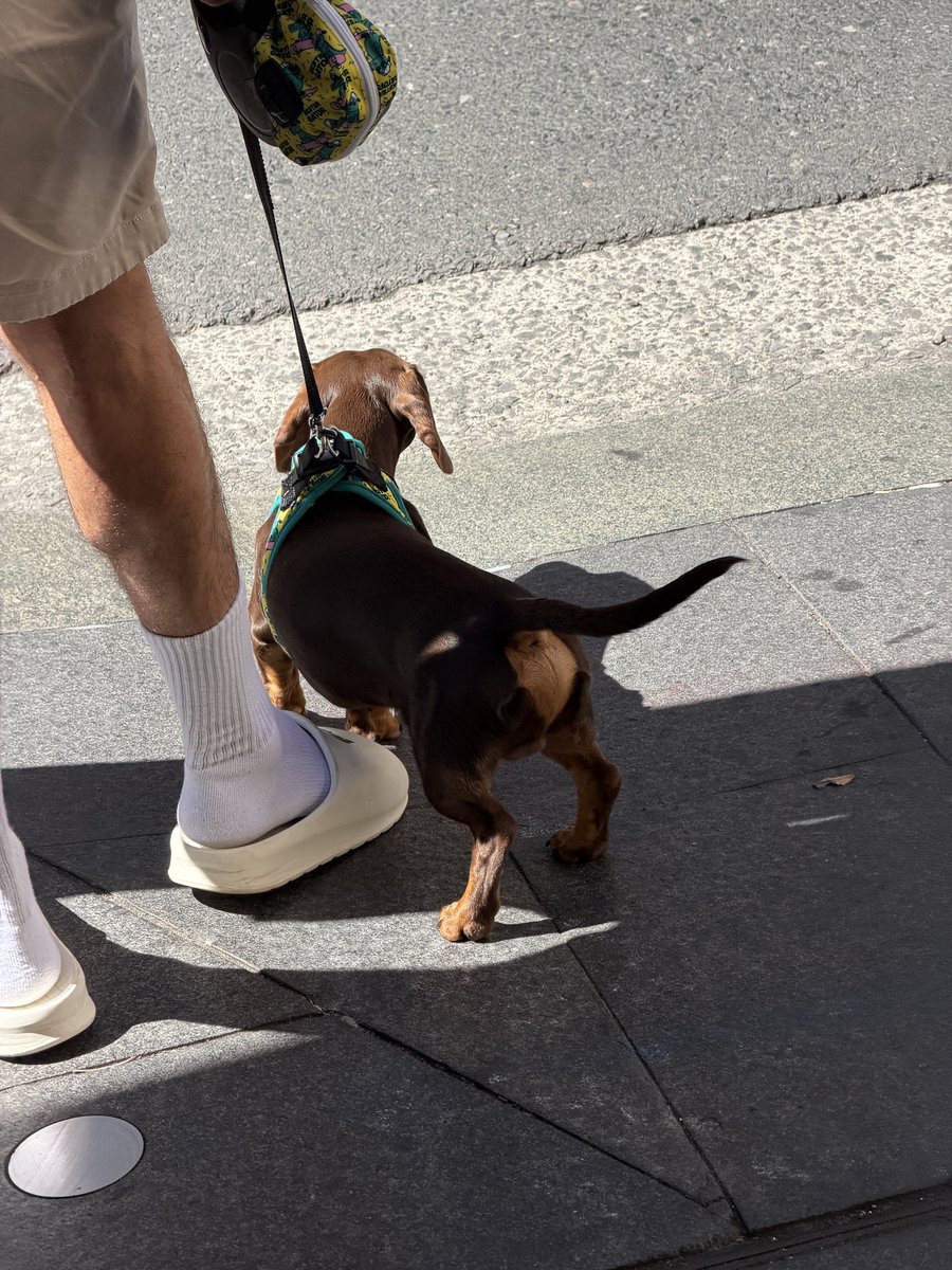 2F0cus's tweet image. 🌭