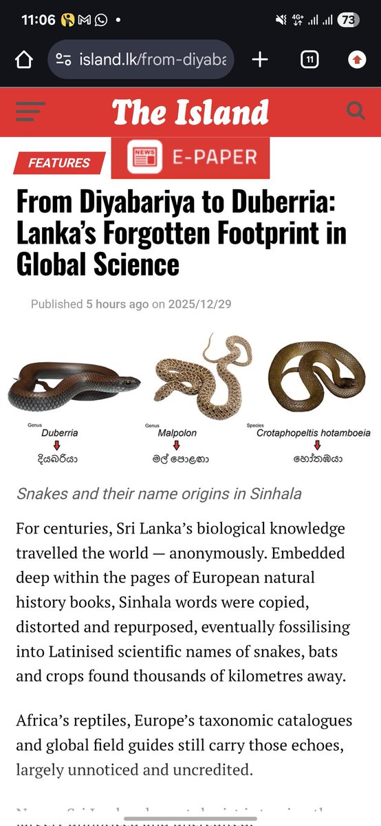 Thank you "The Island" for the article 

island.lk/from-diyabariy…
#duberria #malpolon #etymology #sinhala #herpetology #knox