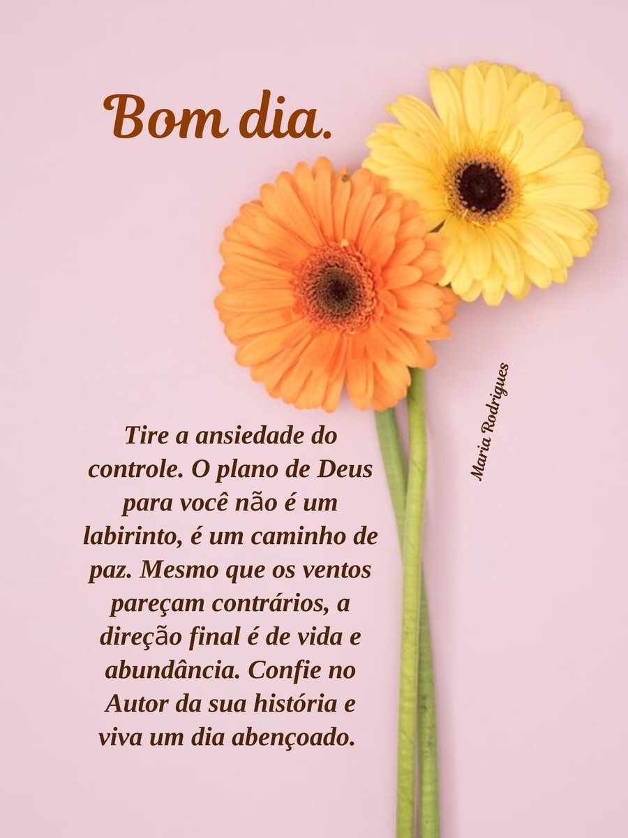 7MariaRodrigues's tweet photo. #bomdia #ansiedade #planodedeus #paz #vida https://t.co/G32o5zce4W
