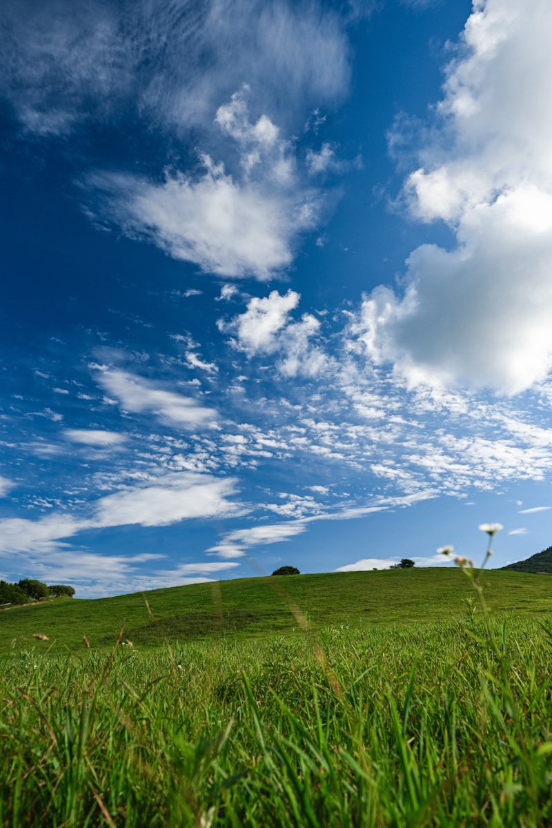 #今年の写真を月ごとに振り返る

5月▶︎8月