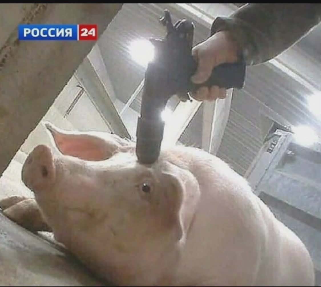 Деканат сделает это со мной после зимних каникул