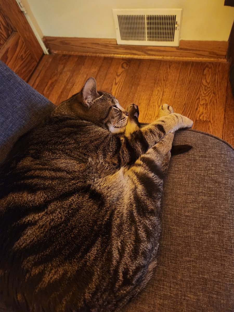 Even during the most electric Sunday night game, Sid still sleeps