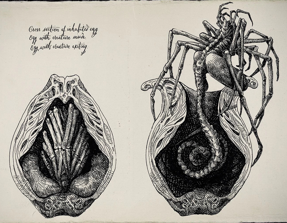 CINEM0RPH's tweet image. David's drawings from Alien: Covenant
Art By: Dane Hallett and Matt Hatton