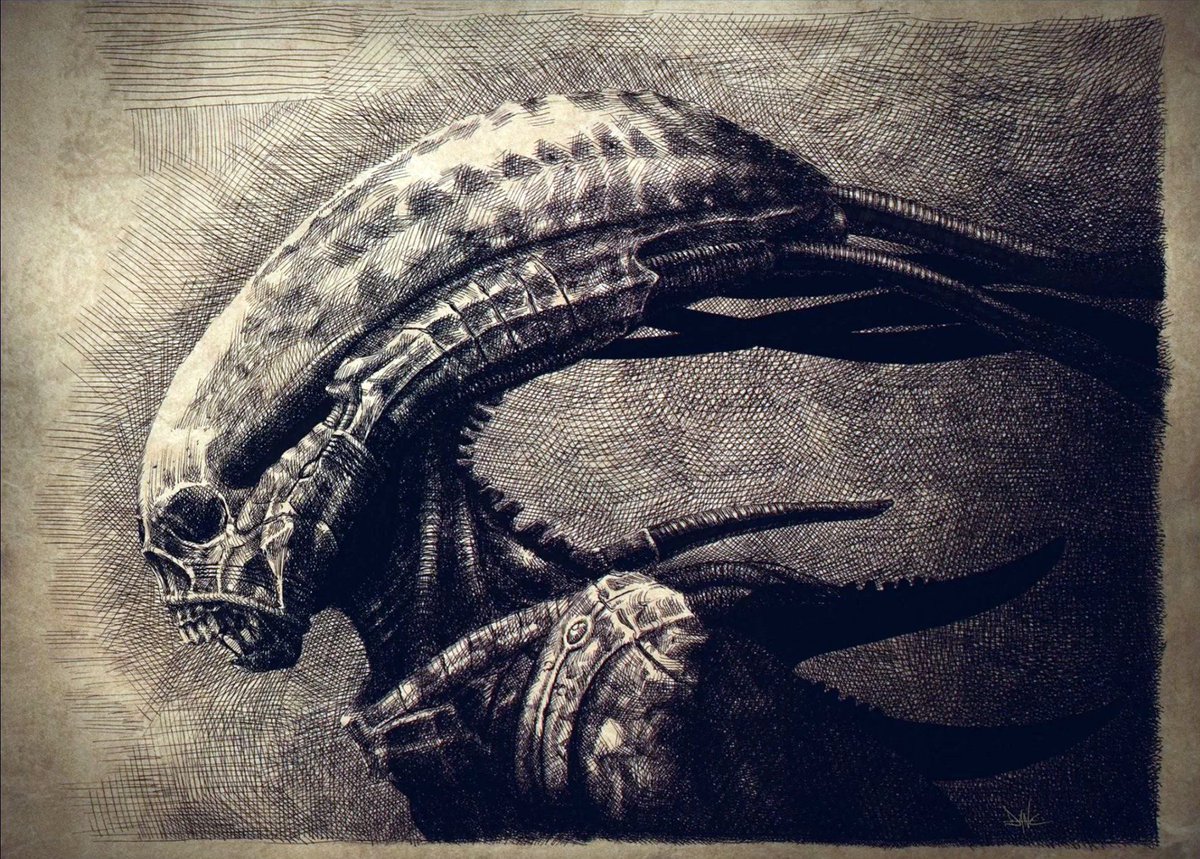 CINEM0RPH's tweet image. David's drawings from Alien: Covenant
Art By: Dane Hallett and Matt Hatton