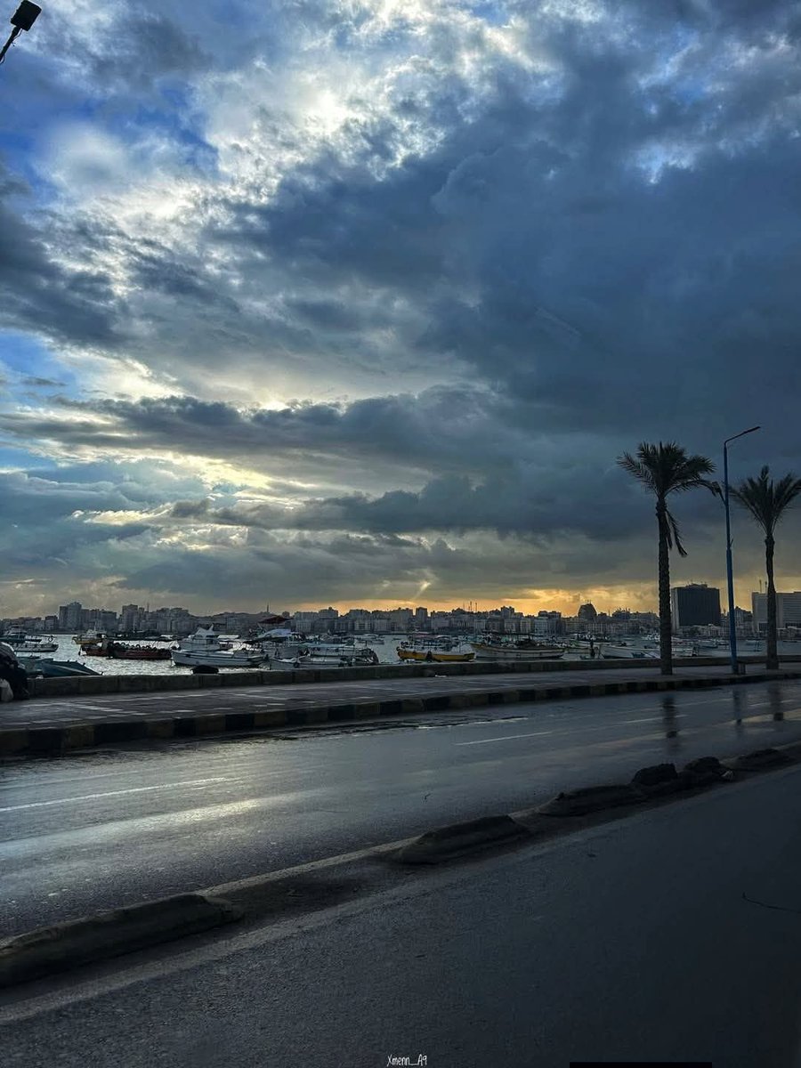 Alexandria_egy1's tweet image. 🤍❄️☔