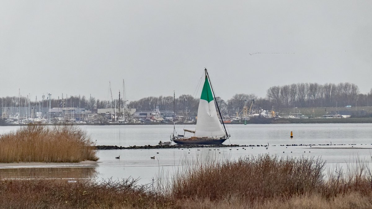 Grijs bewolkte en windstil aan de kust ☁️ #weerfoto #Hellevoetsluis <a href="/EilandVoorne/">voorne aan zee</a> <a href="/KikiBo21937/">Monique Bormans</a> <a href="/johan_klos/">Johan Klos</a> <a href="/BasMunne/">BasMunne</a> <a href="/MRTfotografie/">Marianne Rouwendal🌿</a> <a href="/WNLVandaag/">WNL Vandaag</a> <a href="/RoosmarijnKnol/">Roosmarijn Knol</a> <a href="/EdAldus/">Ed Aldus</a> <a href="/jordiweerman/">Jordi Huirne</a>  <a href="/BuienRadarNL/">Buienradar</a> <a href="/janvissersweer/">JAN VISSER</a> <a href="/weerverteller/">Weerverteller.nl</a> @weerplaza